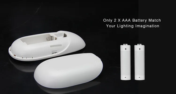 2.4G 4 Zone with RF CCT Remote Control