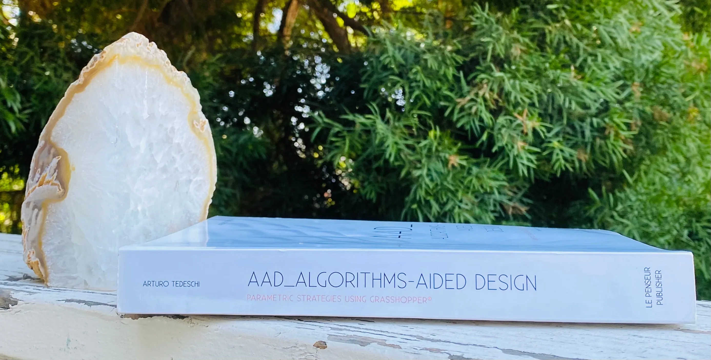 AAD Algorithms-Aided Design Parametric Strategies Using Grasshopper Fulvio Book