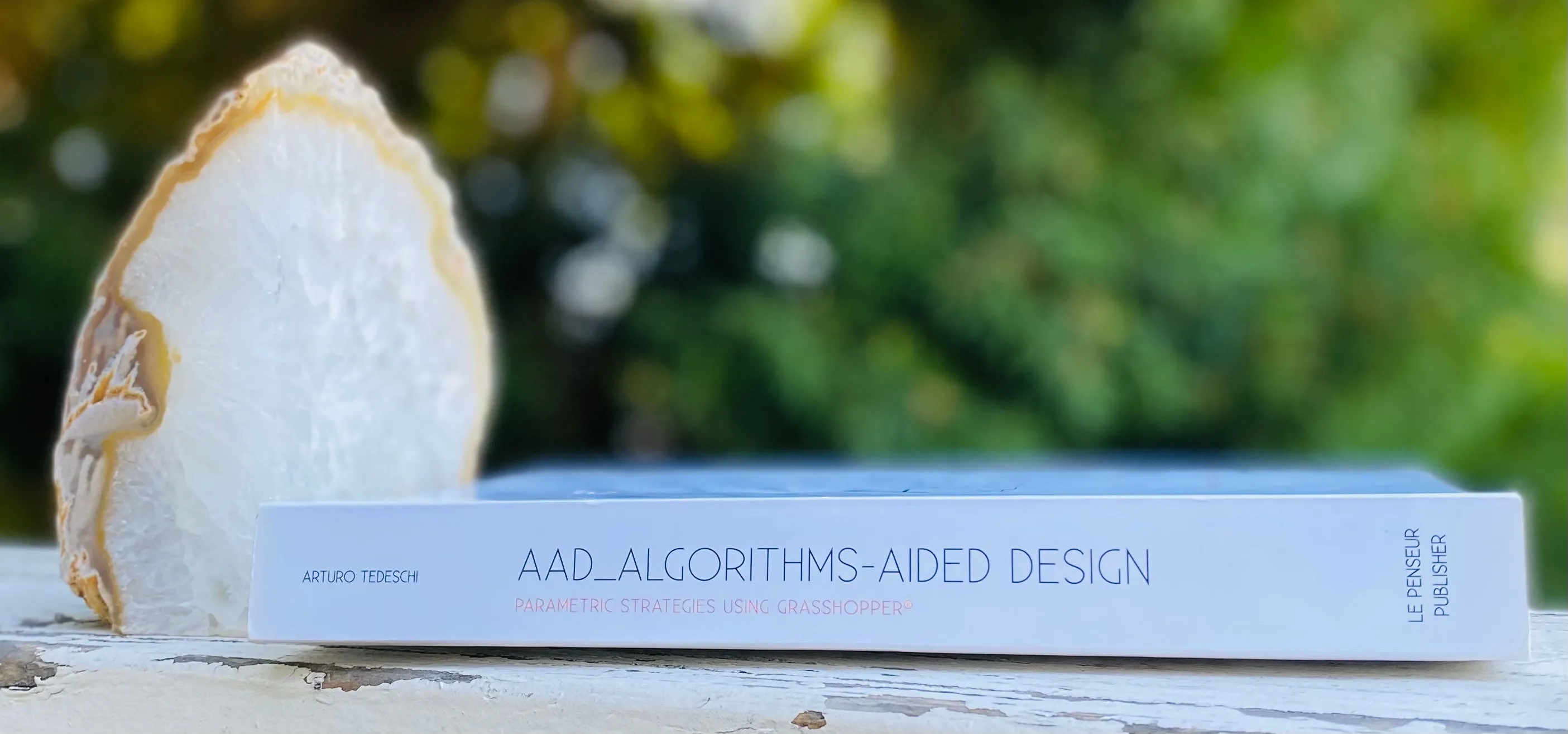 AAD Algorithms-Aided Design Parametric Strategies Using Grasshopper Fulvio Book