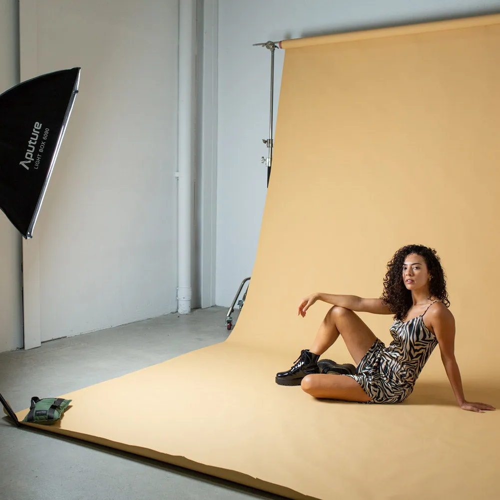 Aputure Light Box 60 x 90cm Includes Grid And Carry Bag (DEMO STOCK)