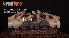 Charred Mountain Birch - Vented Gas Logs