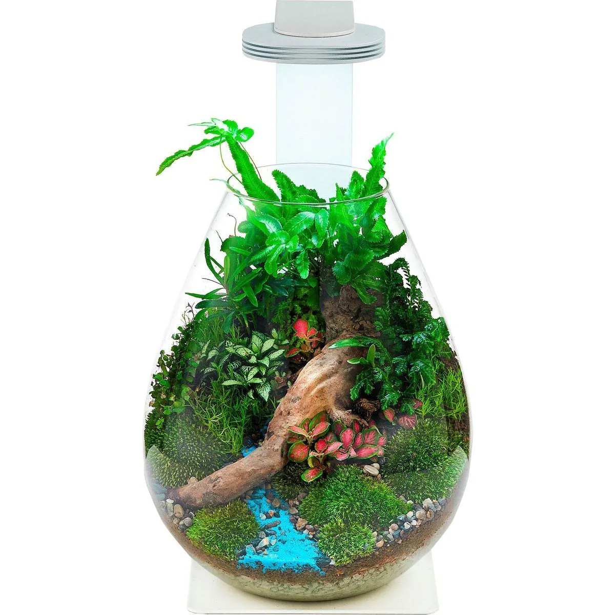Chihiros- Magnetic Terrarium Light Base Glass Pot