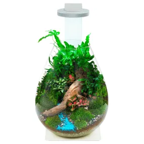 Chihiros- Magnetic Terrarium Light Base Glass Pot