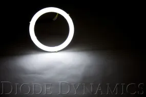 Diode Dynamics HD Halo LED For Tacoma (2016-2019)