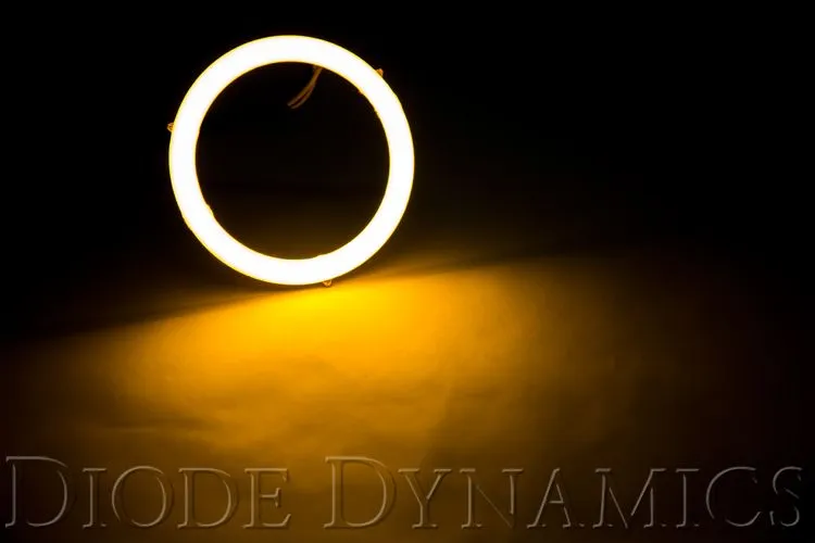 Diode Dynamics HD Halo LED For Tacoma (2016-2019)