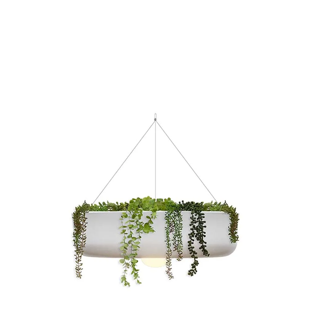 Elba Hanging Planter Light