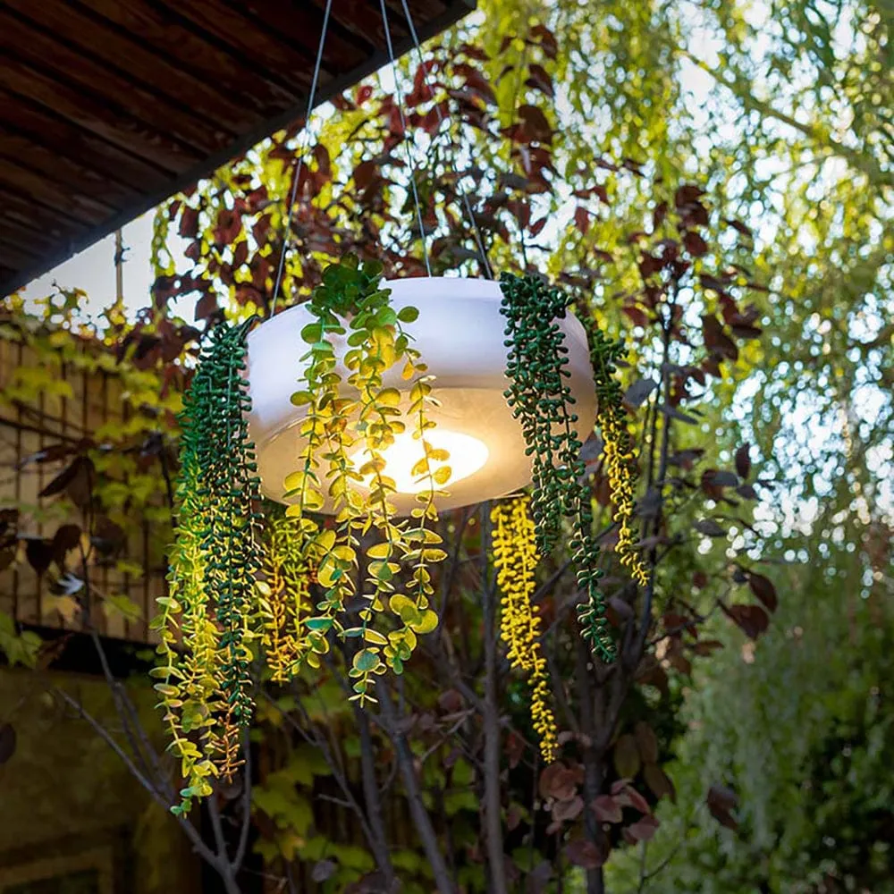 Elba Hanging Planter Light