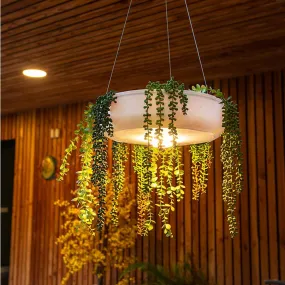 Elba Hanging Planter Light