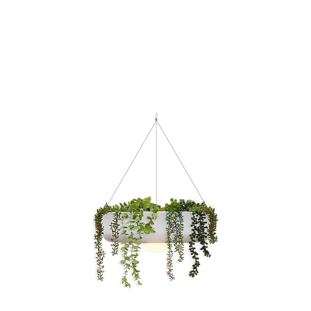 Elba Hanging Planter Light