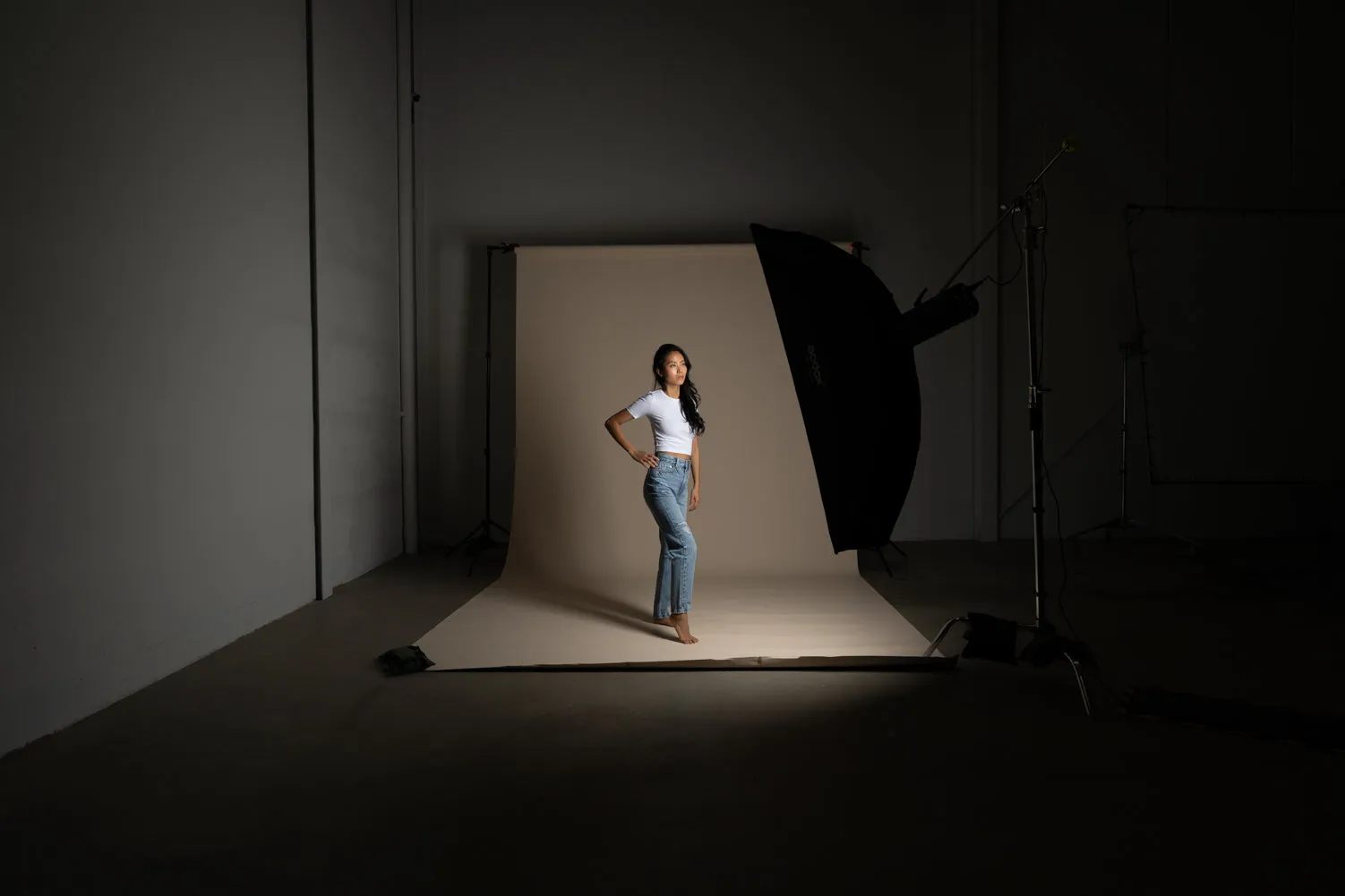 Godox 35 x 160cm Rectangle Strip Softbox with Grid (Bowens Mount)