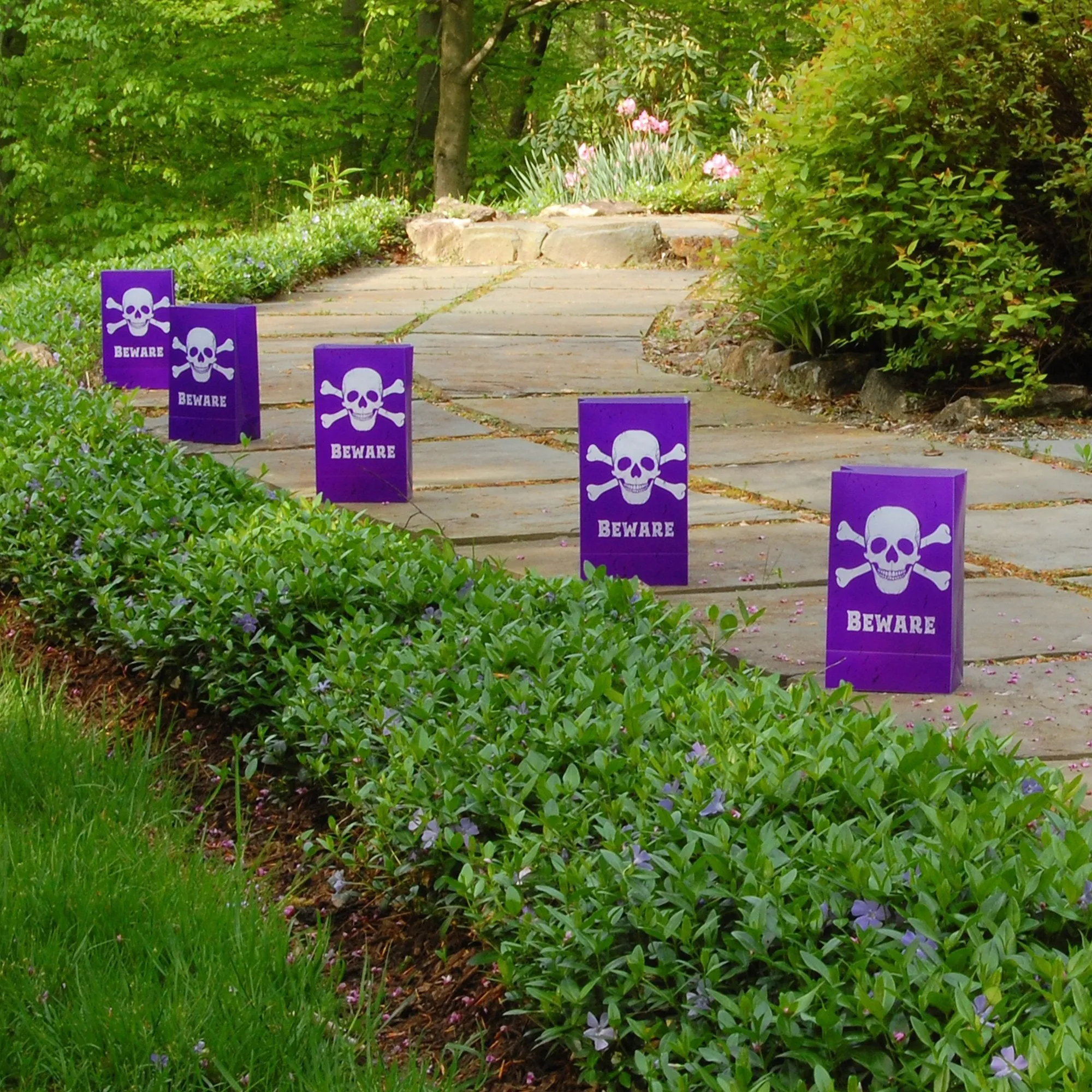 Halloween Battery Operated Luminaria Kit with Timer