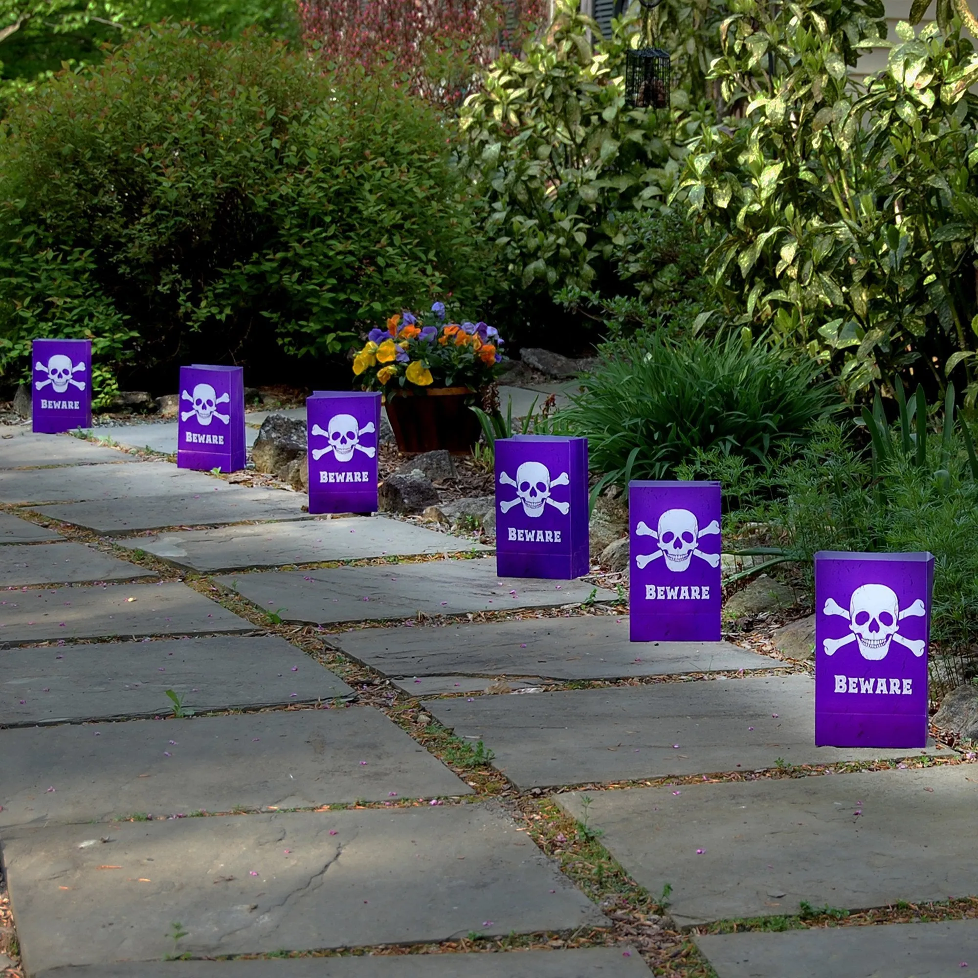 Halloween Battery Operated Luminaria Kit with Timer