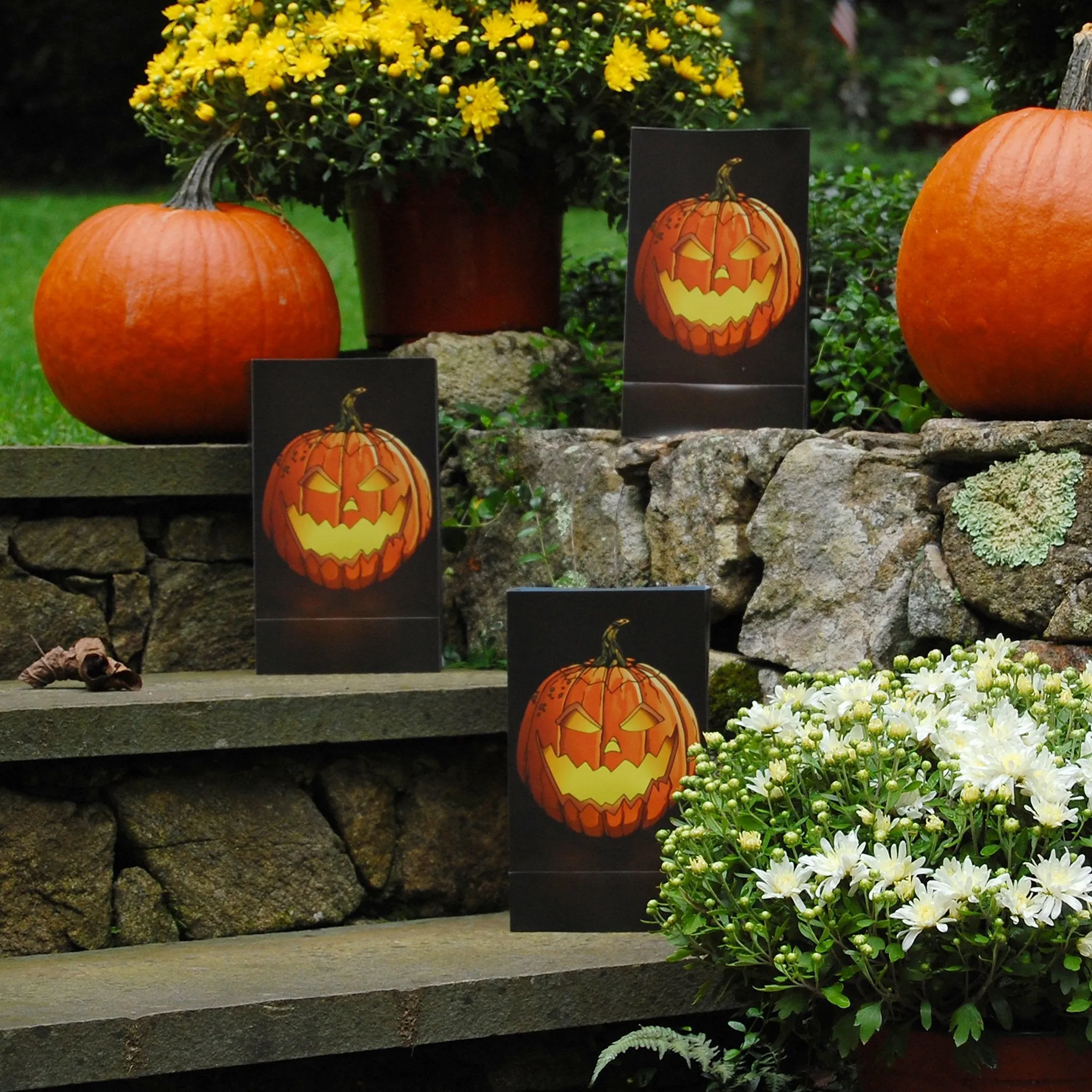 Halloween Battery Operated Luminaria Kit with Timer