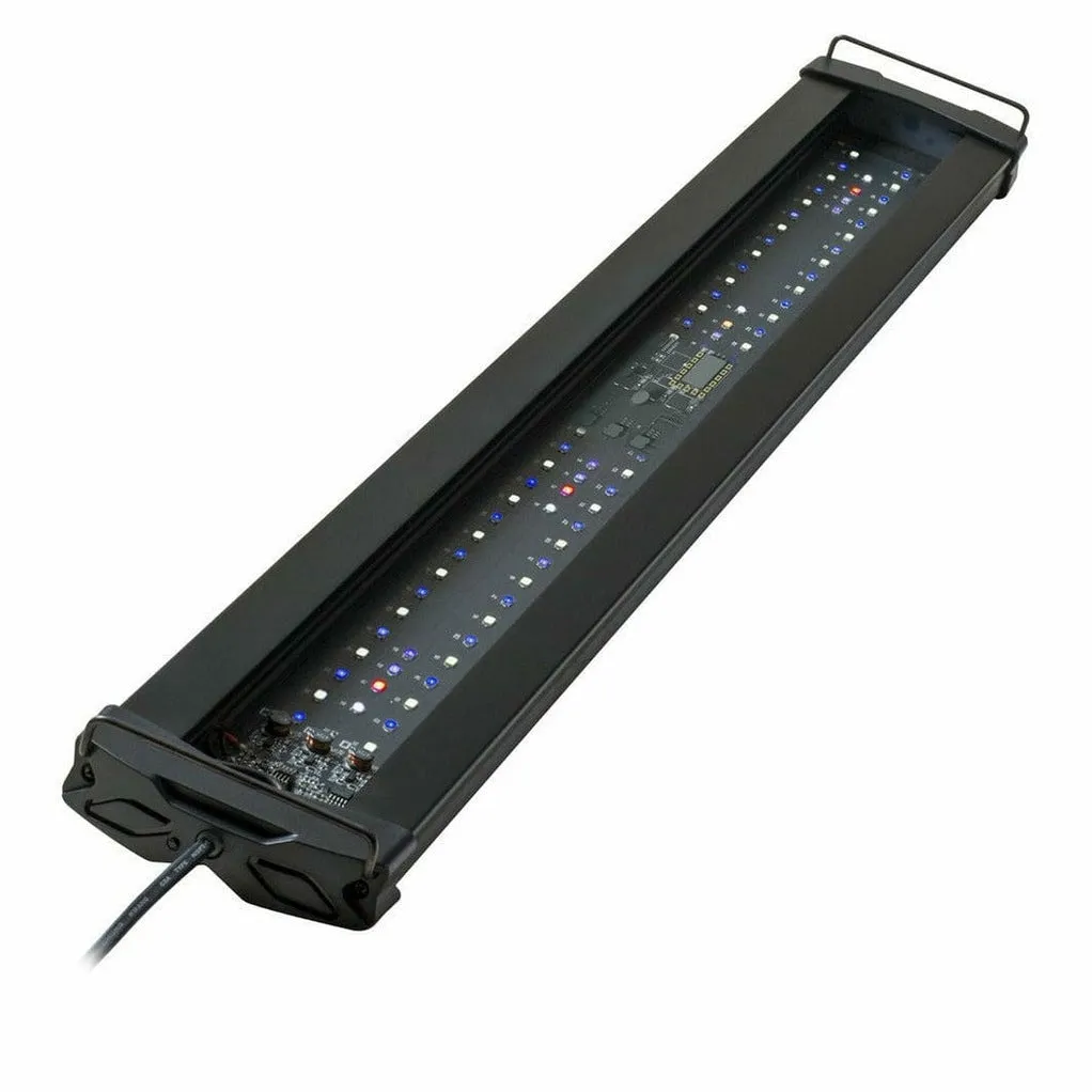 HM ELECTRONICS-Wing 2F1 18W/Freshwater-30cm