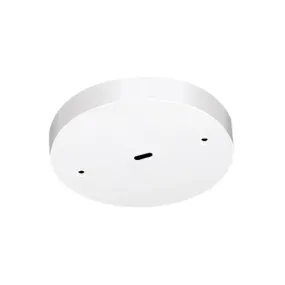 Juno TL540 Trac 12 Surface Monopoint Adapter with Integral Transformer