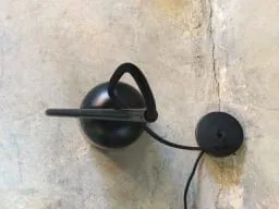 Lightology Dodo Pendant by Seed Designs