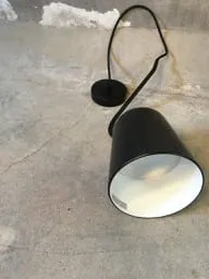 Lightology Dodo Pendant by Seed Designs