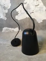 Lightology Dodo Pendant by Seed Designs