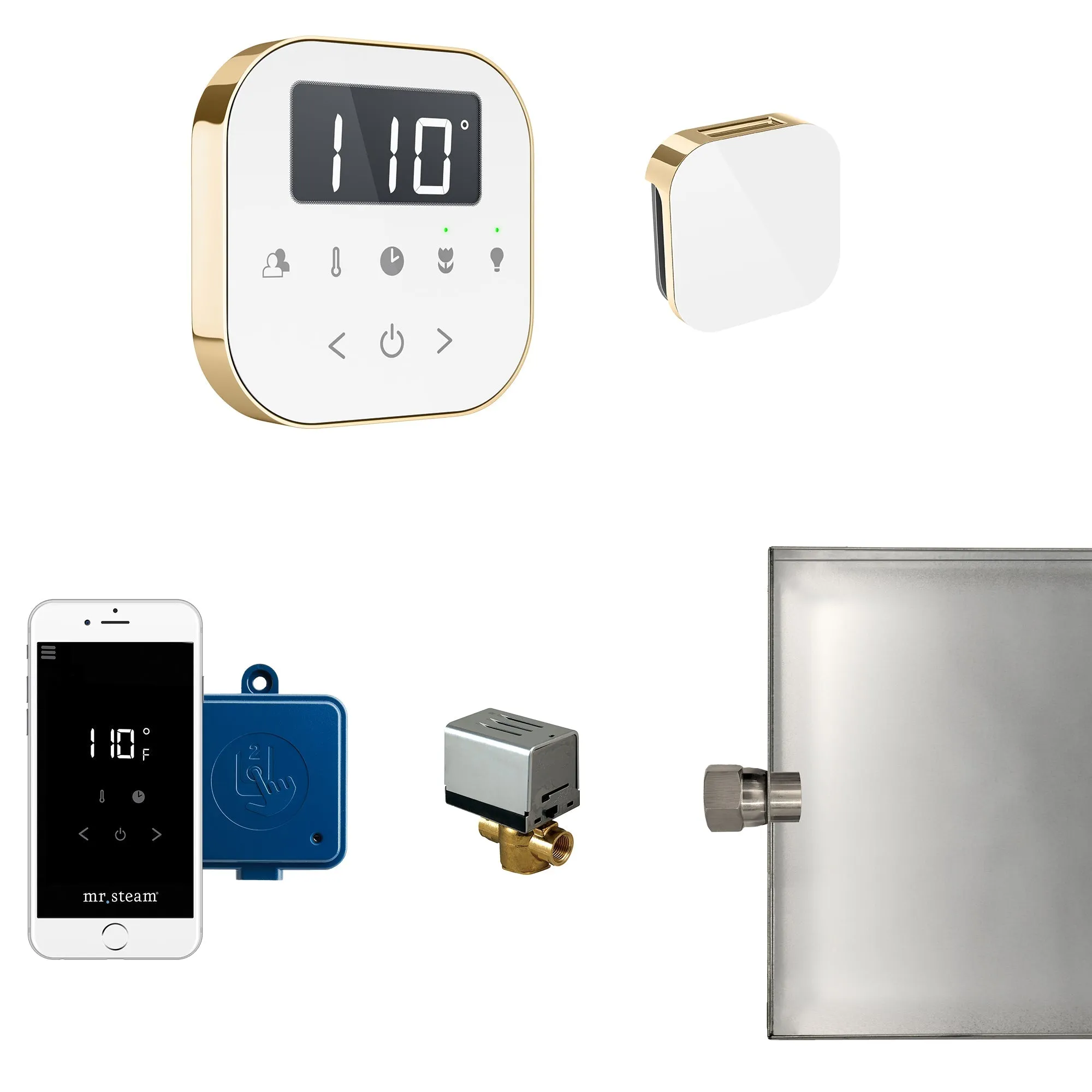 Mr. Steam AirButler Steam Shower Control Package with AirTempo