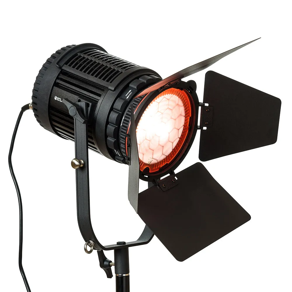 NanGuang 100W LED Fresnel Light