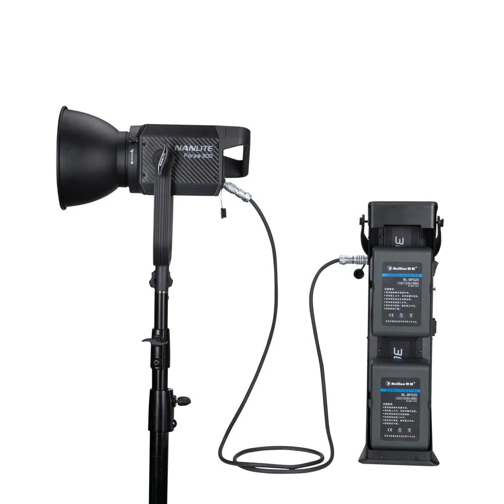 Nanlite Forza 300 LED Monolight