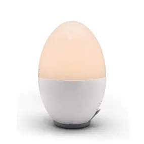 Rechargeable USB Night Light - EGG