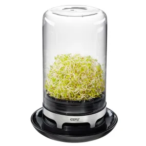 Sprouting Jar Bivita