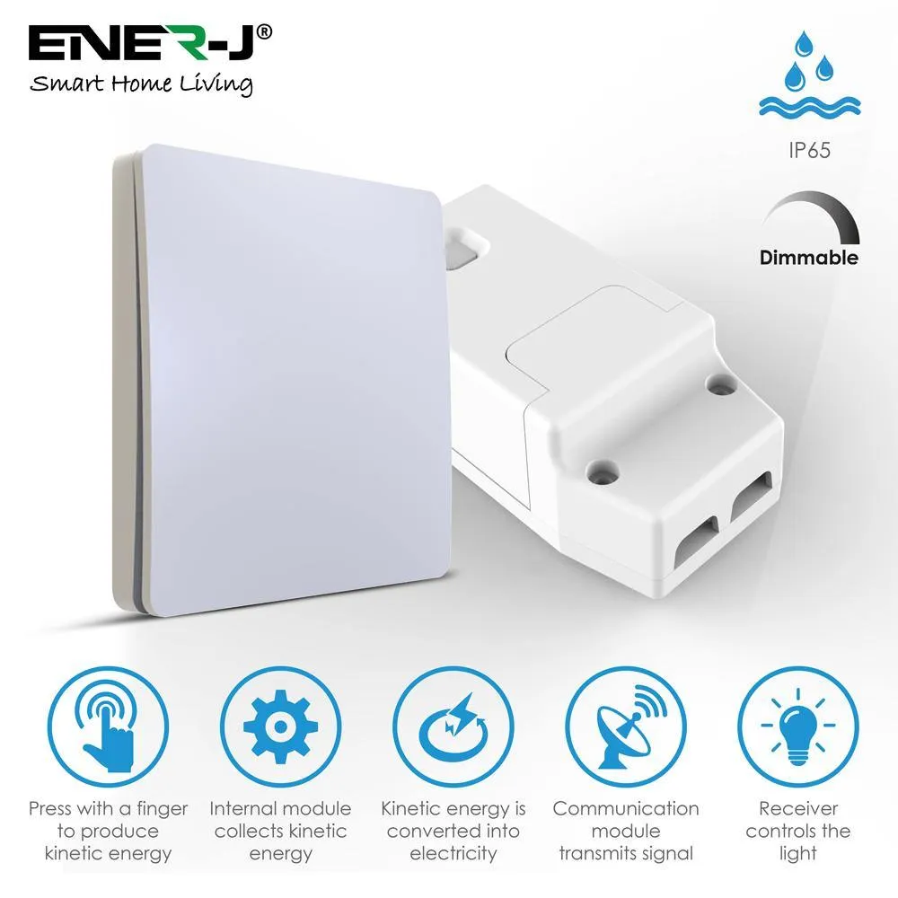 Wireless Light Switch Kit, 1 Gang Switch   100W RF Dimmable Receiver
